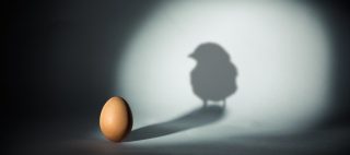 The Versatile Egg | Flash Post 442